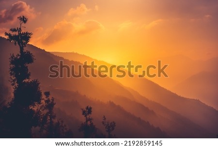 Bright orange sunset sky over misty mountain range. Forest tree silhuette. Stunning wild nature during sunrise. Amazing natural summer scenery. Creative image for design