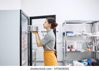 A Bright Pastry Chef Puts The Finished Cake In The Refrigerator