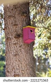 Bright Pink Bird House On A Tree. Self Made Wood Birdhouse.