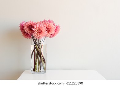Bright pink dahlias in tall glass vase on white table against neutral background with copy space to right