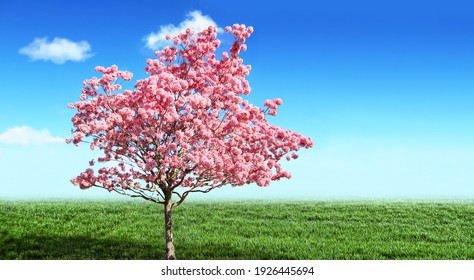 桜 芝生 イラスト 背景 Stock Photos Images Photography Shutterstock