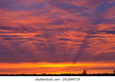 夕焼け ピンク の画像 写真素材 ベクター画像 Shutterstock