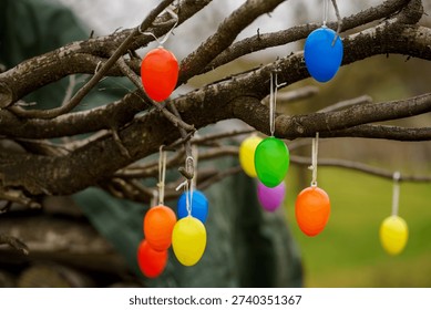 Bright plastic Easter eggs hanging from bare tree branches outdoors. Festive spring decoration with vibrant colors and shallow depth of field.