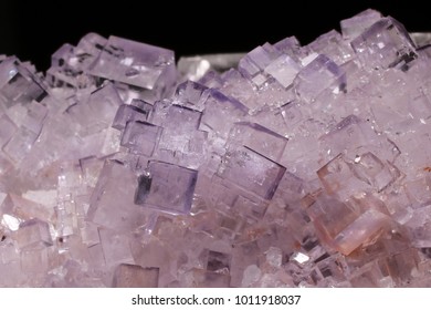 Bright Purple Fluorite Crystals From Tule Mine, Melchor Múzquiz, Mun. De Melchor Múzquiz, Coahuila, Mexico