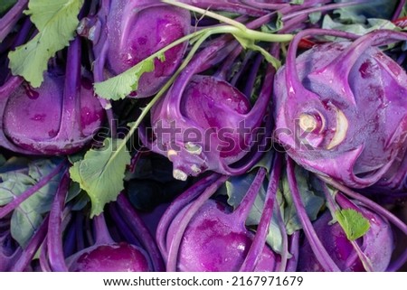 bright purple Kolibri Kohlrabi at an outdoors vegetable farmers market  ready to be bought and sold