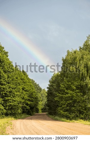 Bright rainbow arching over sandy forest road surrounded by green trees after summer rain. Peaceful natural landscape with dramatic sky.
