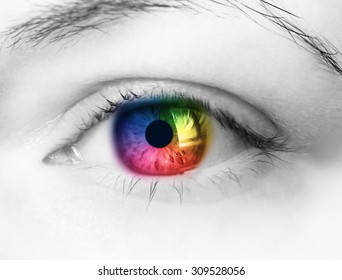 Bright Rainbow Eye Close Stock Photo 309528056 | Shutterstock