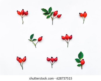 Bright red berries and branches of dog rose in a pattern on white background. Briar floral ornament. Flat lay, top view