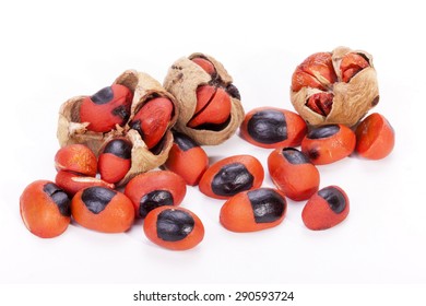 Bright Red And Black Seed And Burst Pods Of Natal Mahogany Tree On White