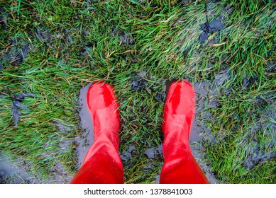 Bright Red Boots On Rain Soaked Wet Green Grass