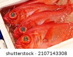 Bright red colored very delicious fish " Splendid alfonsino ( Kinmedai )" in a icy styrofoam box in the sea food market.