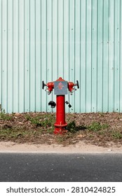 Bright red fire hydrant standing beside dry leaves and grass near a paved roadside