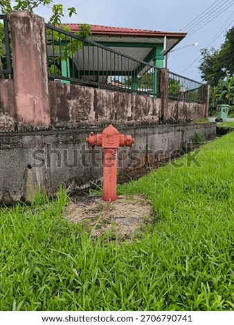 A bright red fire hydrant stands on a grassy verge beside a weathered concrete wall and iron fence, with a green house and utility lines visible in the background, suggesting urban safety and infrastr
