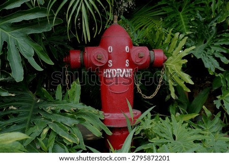 A bright red fire hydrant stands out amidst dense, vibrant green foliage, suggesting a hidden or unexpected urban element within nature.