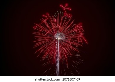 Bright red firework exploded in the night sky