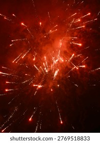 Bright red fireworks exploding in night sky