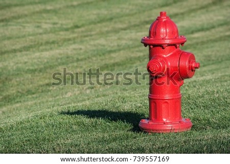 Bright red isolated fire hydrant sits in a freshly cut grass field. 