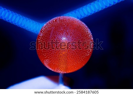 A bright red lollipop with tiny bubbles inside on a dark background. High quality photo