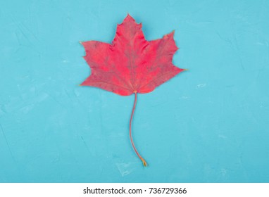 Bright red maple leaf on a blue cracked concrete background, minimal concept (flat lay, top view, copy for your text), retro style