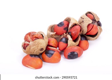 Bright Red Seeds And Pods Of The Natal Mahogany Tree On White