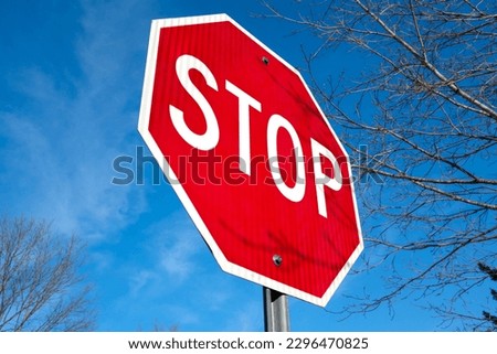A bright red stop sign is seen from a low angle against a dynamic blue sky with birch branches seen around it.