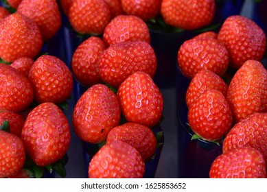 Bright red strawberry, large size, fully ripe, sweet and crispy, just picked from the fruit, so it's tasty and fresh.