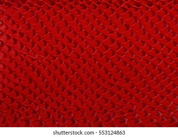 Bright Red Texture Snake Skin Background Stock Photo 553124863 ...