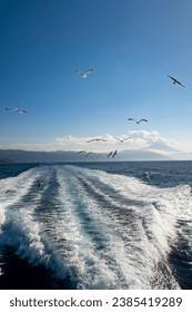 Bright sea water trail behind a boat during summer time. Ferry boat leaves a trail in a blue and clear water of Aegean Sea leaving Mount Athos, Greece. Seagulls flying on the horizon.