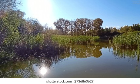 A bright setting sun reflected in the calm surface of a beautiful lake surrounded by forest on an autumn evening. Lake Berezovoe, Novosibirsk, Siberia, Russia.