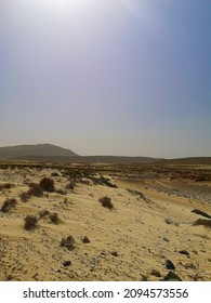 Bright Sky Over Beautiful Desert. Small Tropical Plants Growing In Arid Climate, Low Volcanic Hills In The Distance. Selective Focus On The Details, Blurred Background.