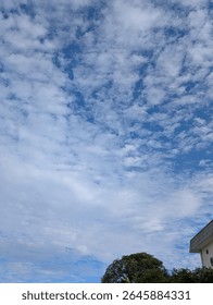 bright sky view with a tree  