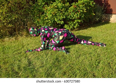 Bright Spandex Zentai Catsuit Artist Woman On The Street