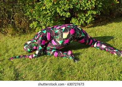 Bright Spandex Zentai Catsuit Artist Woman On The Street