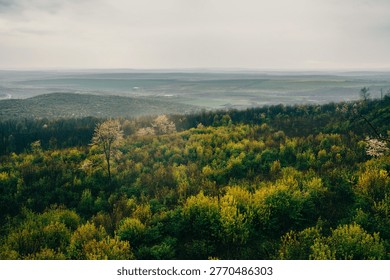 Bright Spring Canopy Blankets Undulating Terrain Offering Perfect Eco Tourism Opportunities