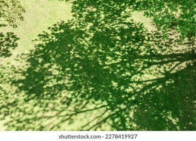 bright spring day in city public park. shade of trees on green lawn. aerial photography. - Powered by Shutterstock