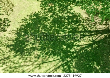 bright spring day in city public park. shade of trees on green lawn. aerial photography.