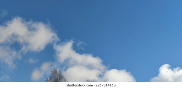 Bright spring sky with white clouds. Spring day, light blue sky. To the left is a large white fluffy cumulus cloud. From below, the tops of the trees are still without foliage. - Shutterstock ID 2269314163