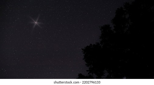 Bright Star Rising Above The Trees On Christmas In North Carolina