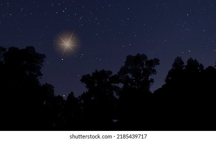 Bright Star In The Sky For Christmas Near Raeford North Carolina