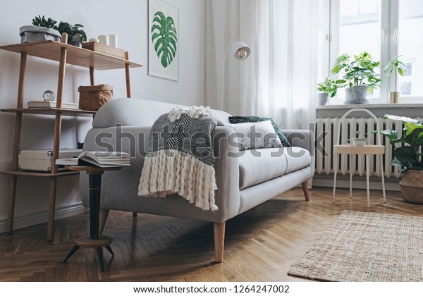 Bright Stylish Scandinavian Room Design Sofa Stock Photo