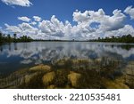 Bright summer cloudscape reflected in calm water of Pine Glades Lake in Everglades National Park, Florida on sunny summer day.