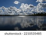 Bright summer cloudscape reflected in calm water of Pine Glades Lake in Everglades National Park, Florida on sunny summer day.