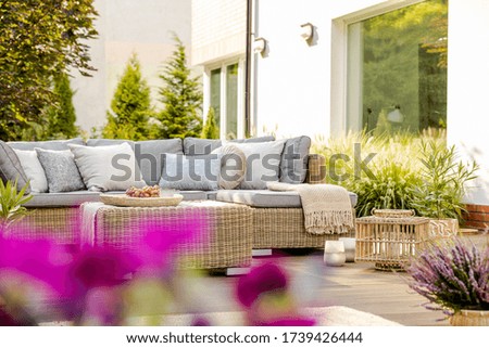 Similar – Image, Stock Photo autumn Gardening Gardener