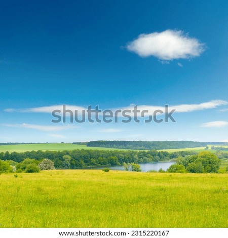 Bright summer pasture with fresh grass and blue sky