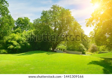 Bright sun in green summer city park.