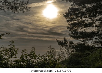 Bright sun shining through dramatic clouds over the sea, framed by pine trees on a coastal hill, scenic Baltic sea landscape during overcast golden hour.