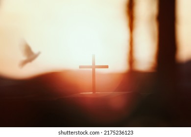 The bright sun and the sunset forest white dove and the holy cross of Jesus Christ symbolize death and resurrection. - Shutterstock ID 2175236123