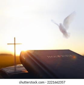 Bright sunlight, bible and holy jesus christ cross silhouette
