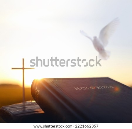 Bright sunlight, bible and holy jesus christ cross silhouette
