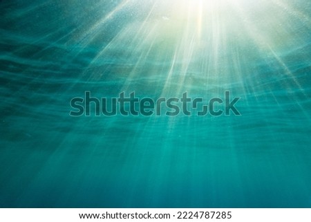 Similar – Image, Stock Photo Tranquil underwater scene with sunlight